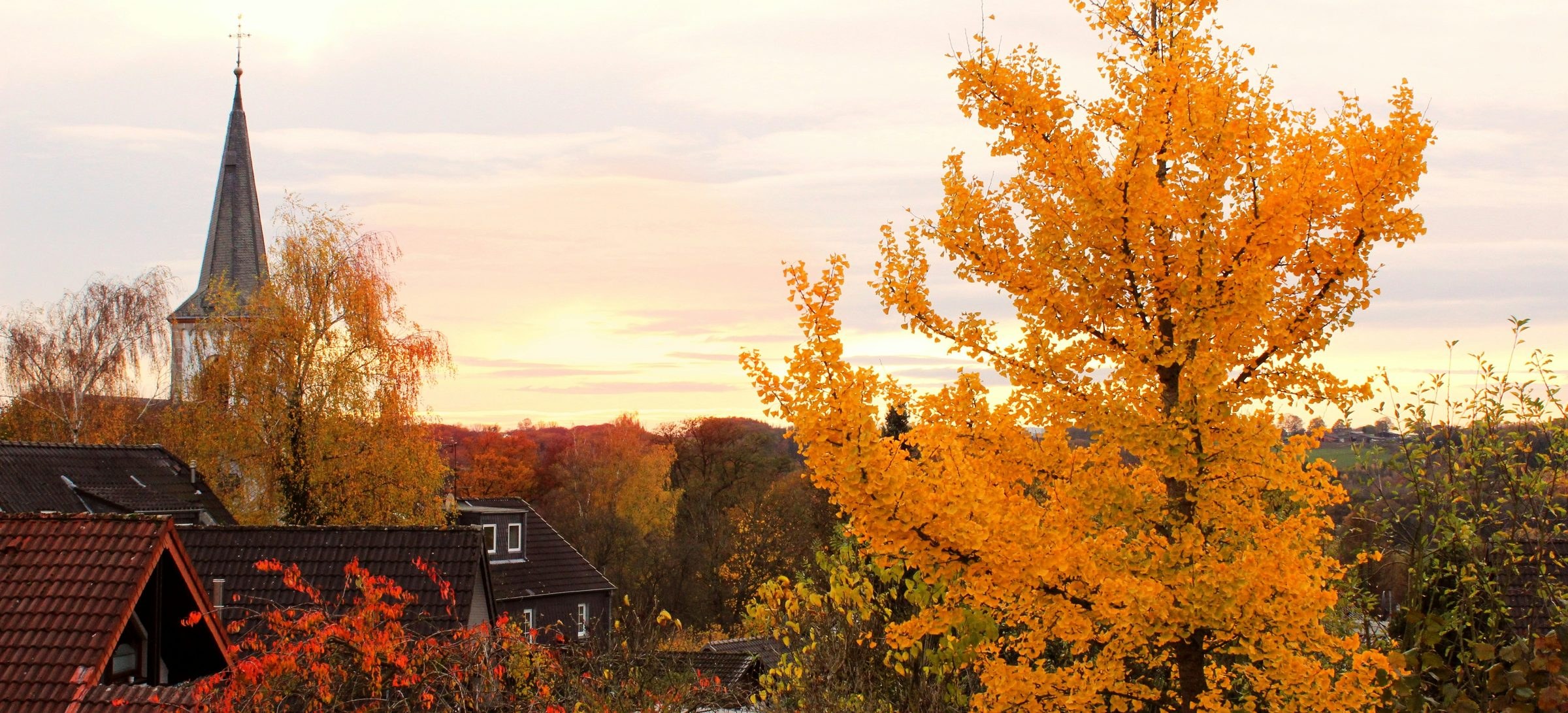 Blick über die Ziegeldächer einer Wohnsiedlung im Herbst, links ein Kirchturm hinter einer Birke, rechts ein leuchtend gelber Ginkgo vor warm-rosa Abendhimmel und bunt gefärbten Wäldern